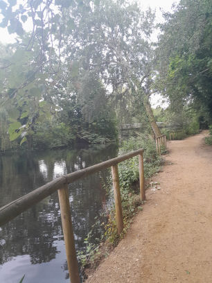Whiteknights Park